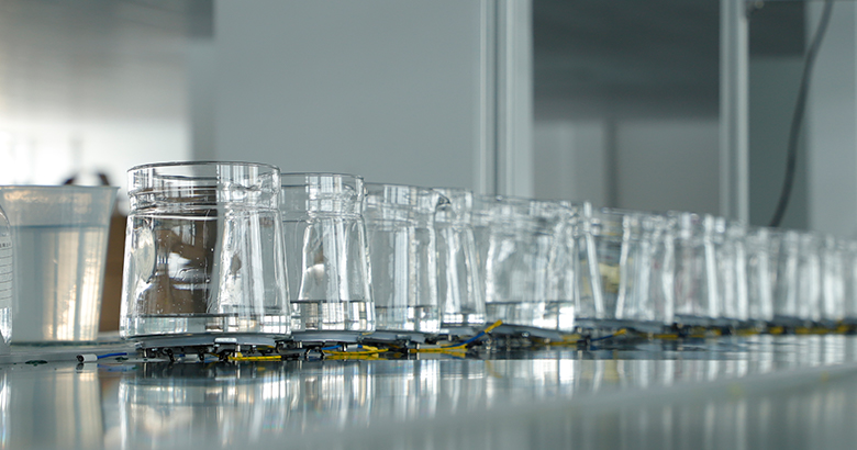 Testing and Reliability