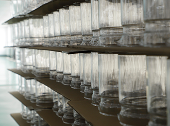 RESEARCH & DEVELOPMENT